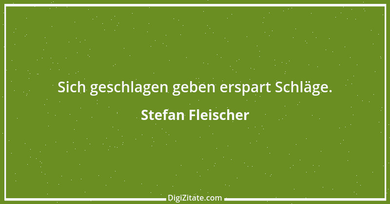 Zitat von Stefan Fleischer 38