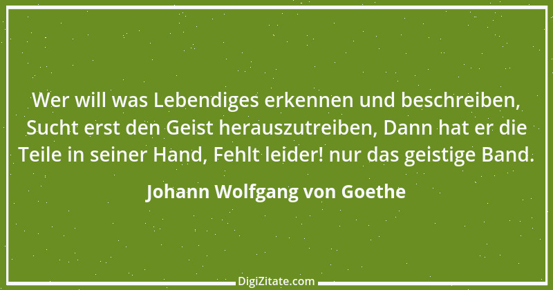 Zitat von Johann Wolfgang von Goethe 1085