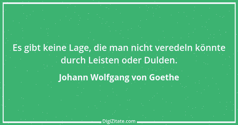 Zitat von Johann Wolfgang von Goethe 4085