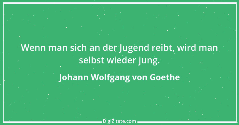 Zitat von Johann Wolfgang von Goethe 85