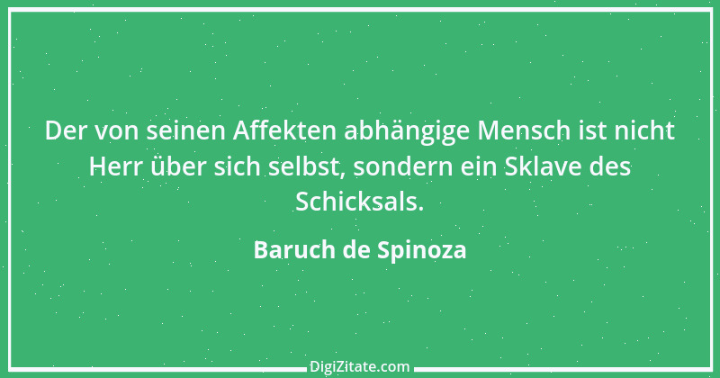 Zitat von Baruch de Spinoza 131