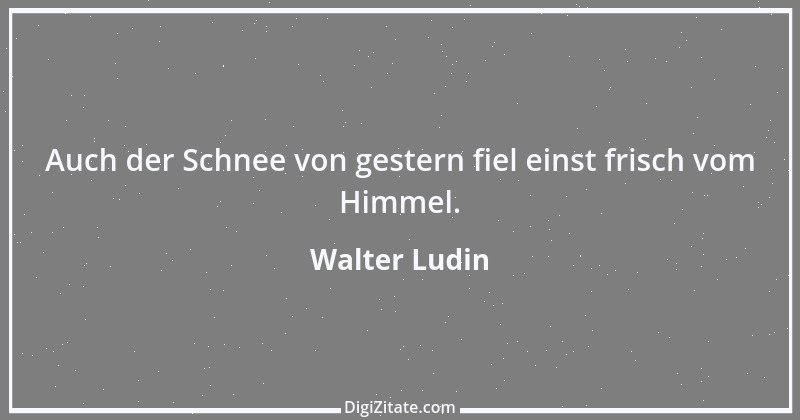 Zitat von Walter Ludin 1264