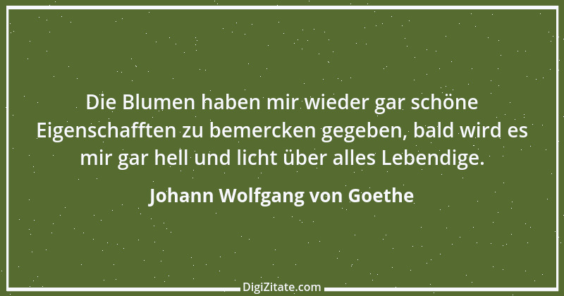 Zitat von Johann Wolfgang von Goethe 1086