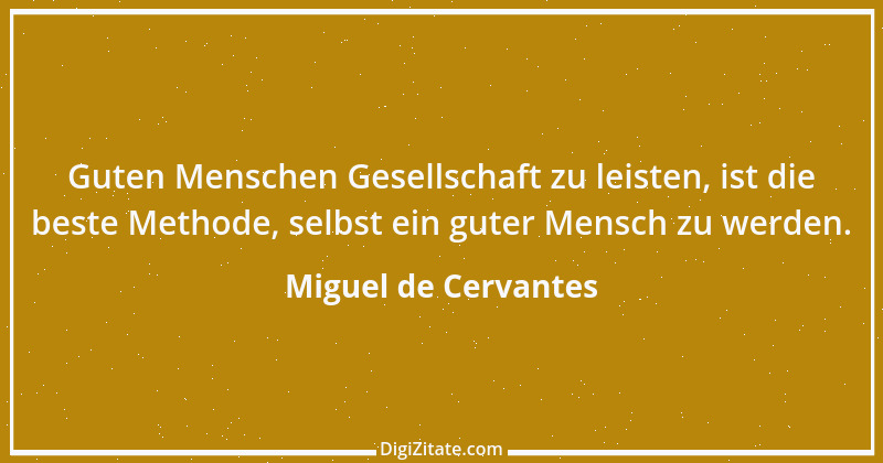 Zitat von Miguel de Cervantes 17