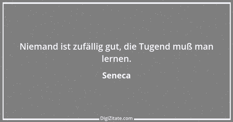 Zitat von Seneca 222