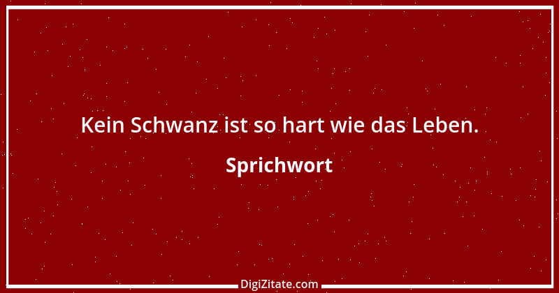 Zitat von Sprichwort 7078