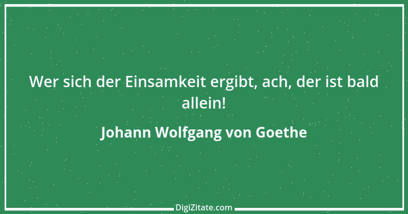 Zitat von Johann Wolfgang von Goethe 87