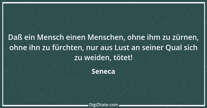 Zitat von Seneca 223