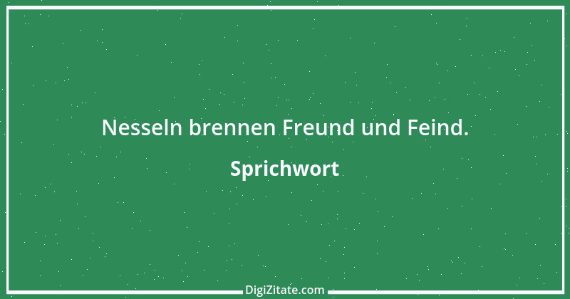 Zitat von Sprichwort 9079