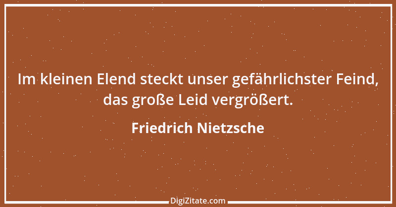 Zitat von Friedrich Nietzsche 1025