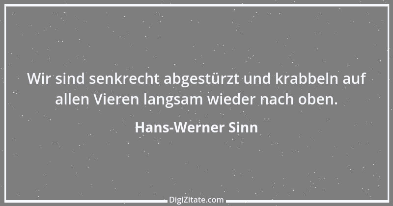 Zitat von Hans-Werner Sinn 6