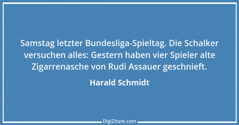 Zitat von Harald Schmidt 407