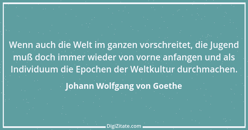 Zitat von Johann Wolfgang von Goethe 2091