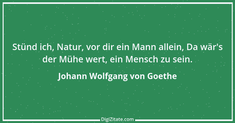 Zitat von Johann Wolfgang von Goethe 91