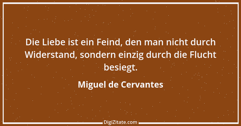 Zitat von Miguel de Cervantes 22