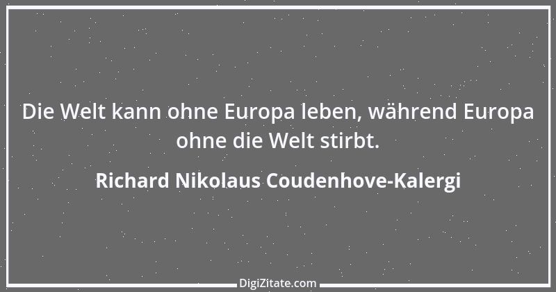 Zitat von Richard Nikolaus Coudenhove-Kalergi 3