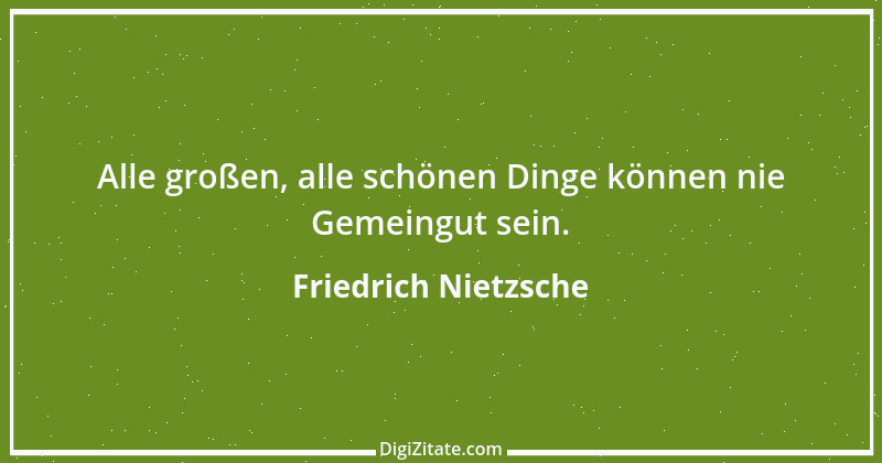 Zitat von Friedrich Nietzsche 29