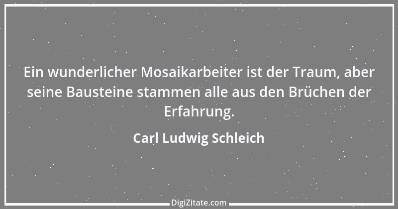 Zitat von Carl Ludwig Schleich 72