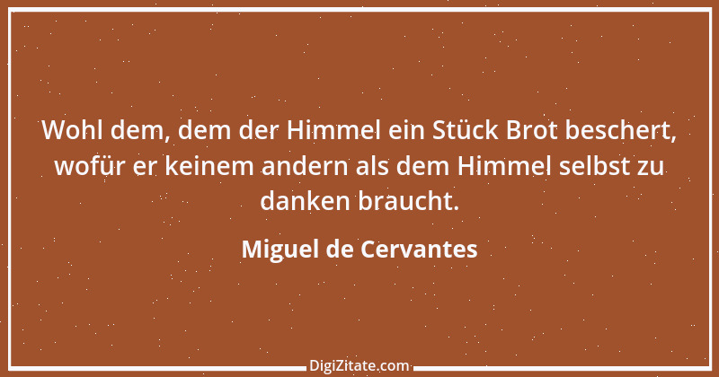 Zitat von Miguel de Cervantes 24