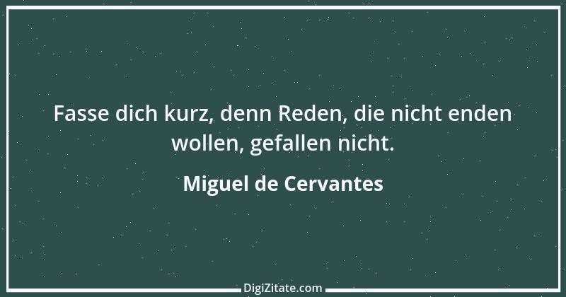 Zitat von Miguel de Cervantes 25