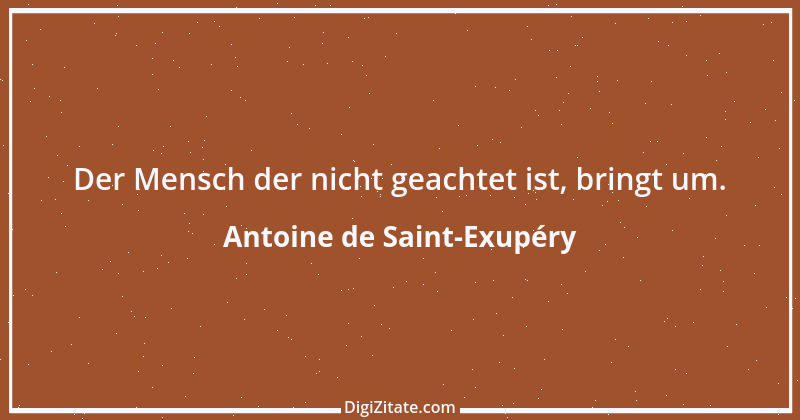 Zitat von Antoine de Saint-Exupéry 99