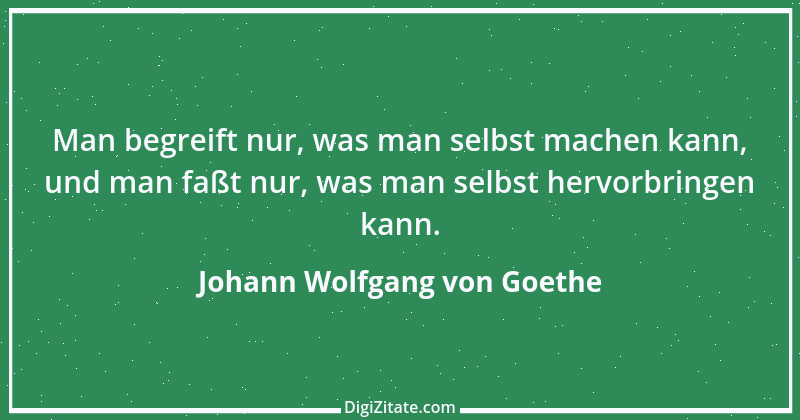 Zitat von Johann Wolfgang von Goethe 3095