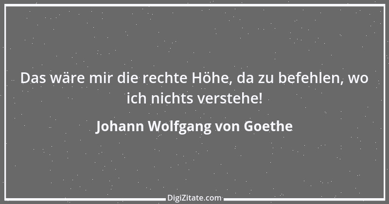 Zitat von Johann Wolfgang von Goethe 763