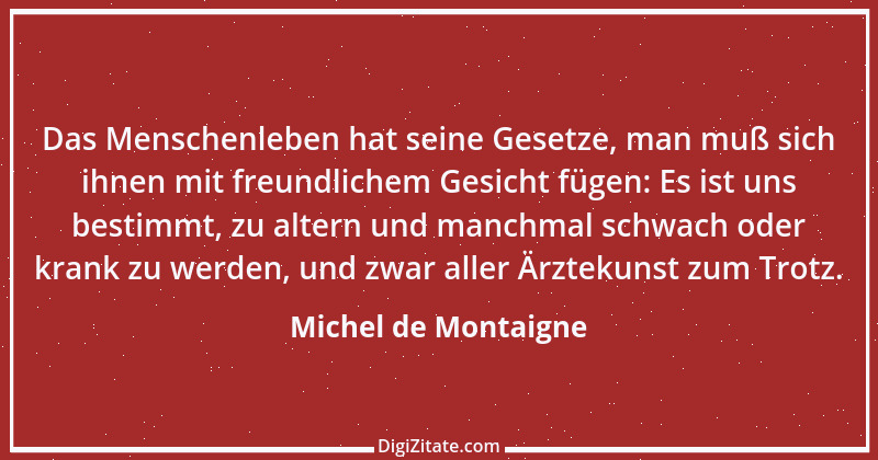 Zitat von Michel de Montaigne 451