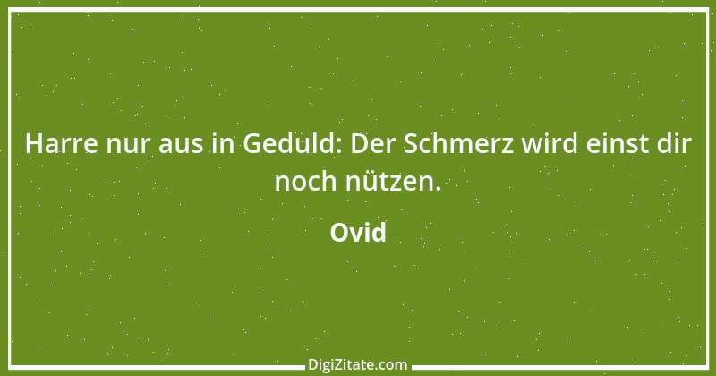 Zitat von Ovid 143