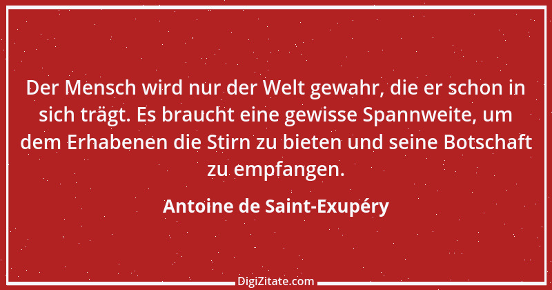 Zitat von Antoine de Saint-Exupéry 100