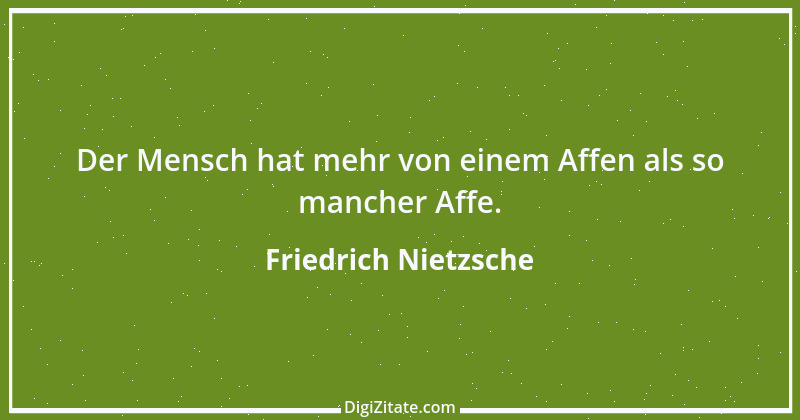 Zitat von Friedrich Nietzsche 33