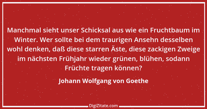 Zitat von Johann Wolfgang von Goethe 4096