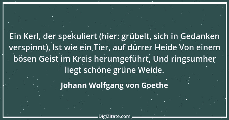 Zitat von Johann Wolfgang von Goethe 97