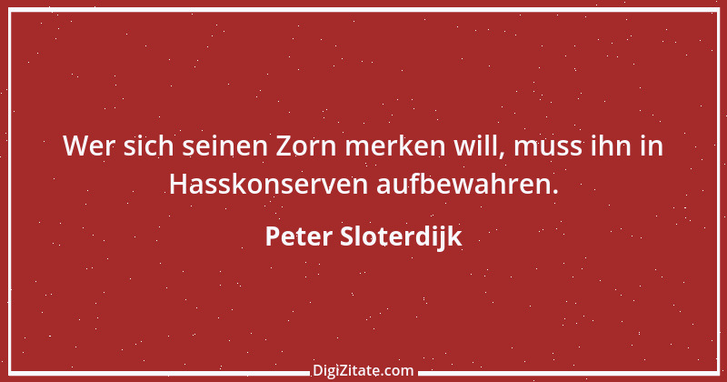 Zitat von Peter Sloterdijk 19