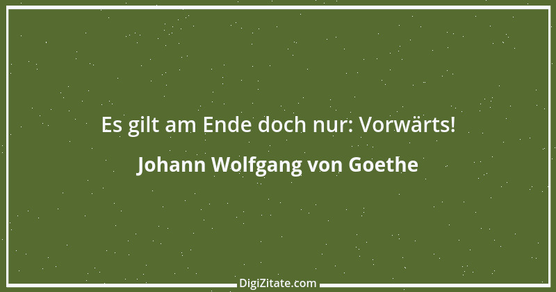 Zitat von Johann Wolfgang von Goethe 3099