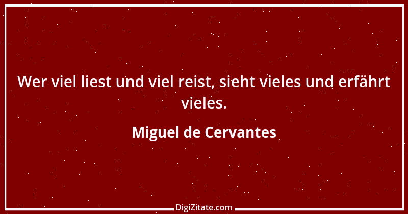 Zitat von Miguel de Cervantes 30