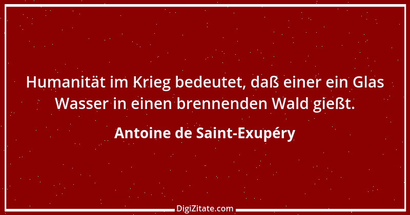 Zitat von Antoine de Saint-Exupéry 104