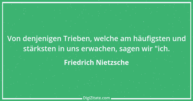 Zitat von Friedrich Nietzsche 37