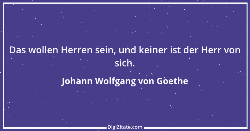 Zitat von Johann Wolfgang von Goethe 100