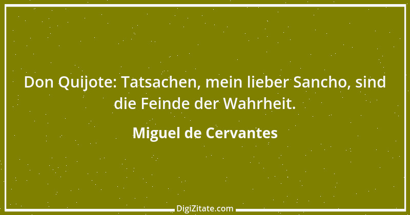 Zitat von Miguel de Cervantes 31