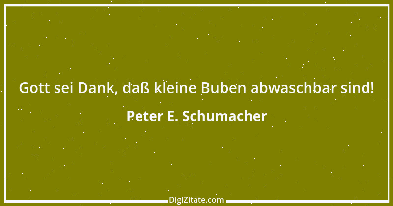 Zitat von Peter E. Schumacher 905