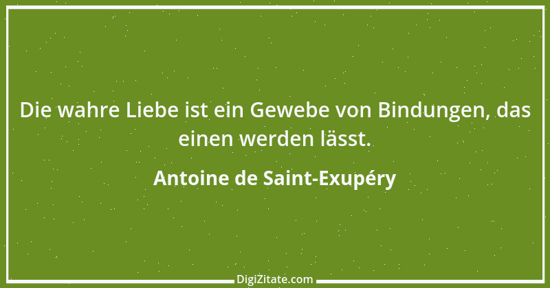 Zitat von Antoine de Saint-Exupéry 105