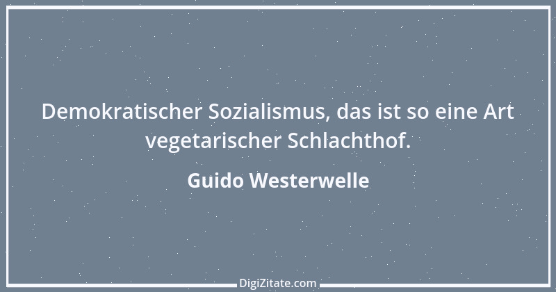 Zitat von Guido Westerwelle 25