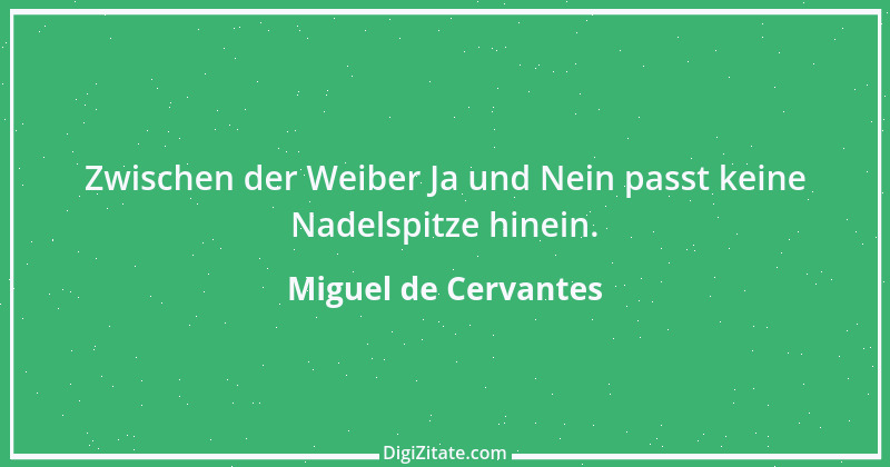 Zitat von Miguel de Cervantes 33