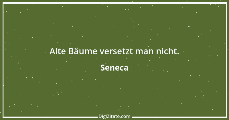 Zitat von Seneca 238