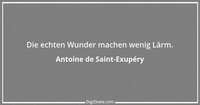 Zitat von Antoine de Saint-Exupéry 107