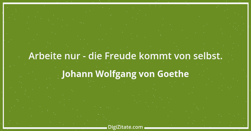 Zitat von Johann Wolfgang von Goethe 1103