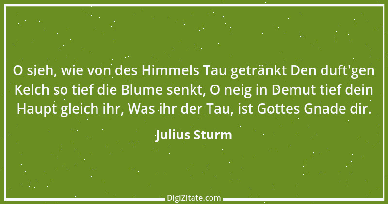 Zitat von Julius Sturm 11