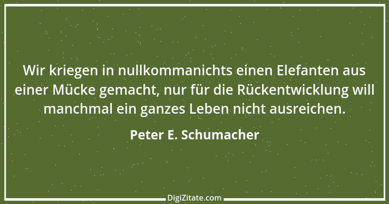 Zitat von Peter E. Schumacher 909