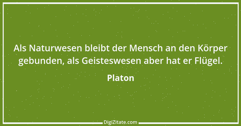 Zitat von Platon 140